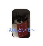 Kiwi ＆ Ginji（個別スタンプ：4）