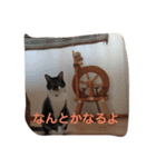 Kiwi ＆ Ginji（個別スタンプ：9）