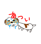 かわいいシーズースタンプ2（個別スタンプ：3）