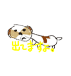 かわいいシーズースタンプ2（個別スタンプ：8）