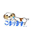 かわいいシーズースタンプ2（個別スタンプ：13）