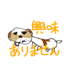 かわいいシーズースタンプ2（個別スタンプ：15）