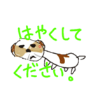 かわいいシーズースタンプ2（個別スタンプ：19）