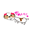 かわいいシーズースタンプ2（個別スタンプ：22）