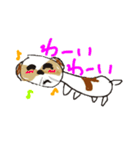 かわいいシーズースタンプ2（個別スタンプ：23）