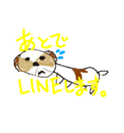 かわいいシーズースタンプ2（個別スタンプ：24）