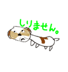 かわいいシーズースタンプ2（個別スタンプ：26）