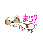 かわいいシーズースタンプ2（個別スタンプ：28）