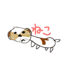 かわいいシーズースタンプ2（個別スタンプ：33）