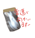 子猫のもちちゃん(=^・^=)生活活用編（個別スタンプ：8）