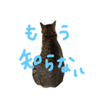 ゆず＆あんず（個別スタンプ：5）