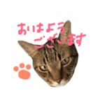 ゆず＆あんず（個別スタンプ：10）
