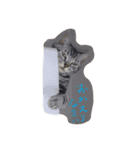 レイくんねこ☆すた Part.2（個別スタンプ：1）