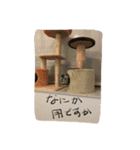 レイくんねこ☆すた Part.2（個別スタンプ：6）