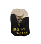 レイくんねこ☆すた Part.2（個別スタンプ：15）