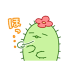 サボテン日常会話（個別スタンプ：39）
