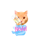 Noah 1（個別スタンプ：1）