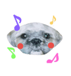 Carol of a Shih Tzu dog（個別スタンプ：1）