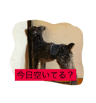 animal stamp byayumi（個別スタンプ：4）