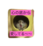 animal stamp byayumi（個別スタンプ：8）