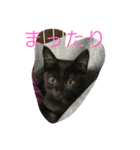 クロッコの日常生活（個別スタンプ：1）