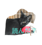 クロッコの日常生活（個別スタンプ：4）
