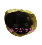 クロッコの日常生活（個別スタンプ：5）