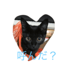 クロッコの日常生活（個別スタンプ：6）