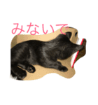 クロッコの日常生活（個別スタンプ：7）
