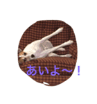 JRT al jet good（個別スタンプ：1）