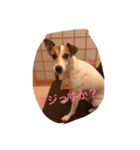 JRT al jet good（個別スタンプ：5）