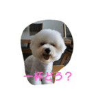 cookie cookie1106（個別スタンプ：3）