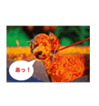 トイ・プードル（個別スタンプ：4）