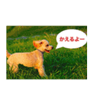 トイ・プードル（個別スタンプ：8）