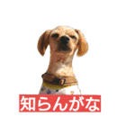 くう氏（個別スタンプ：3）