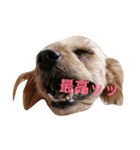 くう氏（個別スタンプ：6）