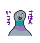 へたくそとり（個別スタンプ：14）