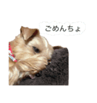 らんとれんげ（個別スタンプ：7）