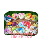 Suites Deco collection（個別スタンプ：8）