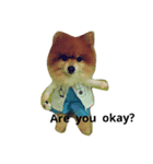 pomeranian cosplay2（個別スタンプ：2）
