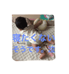 よしろうくん専用だよ（個別スタンプ：7）
