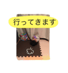かわいいあーるちゃん（個別スタンプ：5）