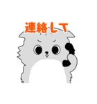 猫のもやしさん（個別スタンプ：3）