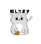 猫のもやしさん（個別スタンプ：16）
