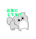 猫のもやしさん（個別スタンプ：19）