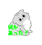 猫のもやしさん（個別スタンプ：20）