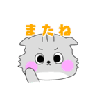 猫のもやしさん（個別スタンプ：29）