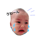 HARU-KUN 1（個別スタンプ：7）