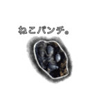 こんぶとわかめ（個別スタンプ：1）