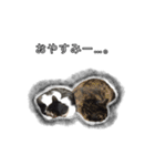 こんぶとわかめ（個別スタンプ：3）
